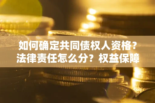 北京如何确定共同债权人资格？法律责任怎么分？权益保障技巧揭秘！