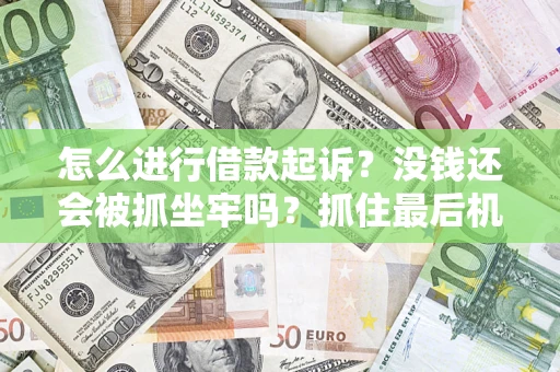 北京怎么进行借款起诉？没钱还会被抓坐牢吗？抓住最后机会！