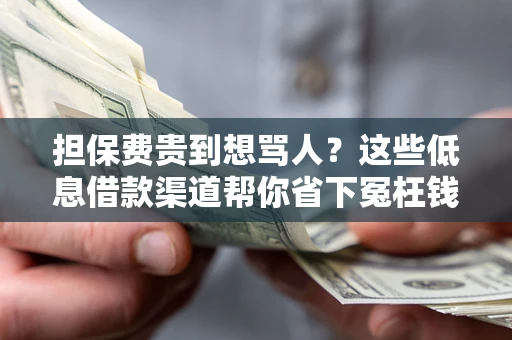 北京担保费贵到想骂人？这些低息借款渠道帮你省下冤枉钱