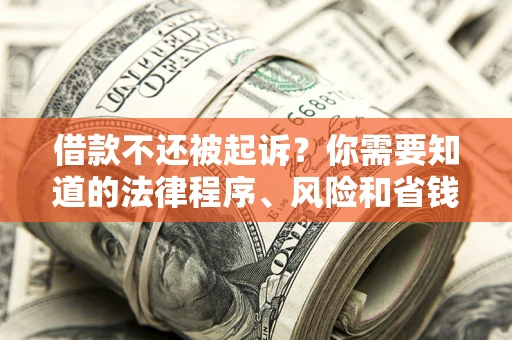 北京借款不还被起诉？你需要知道的法律程序、风险和省钱技巧